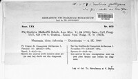 Image Associated With the Occurence